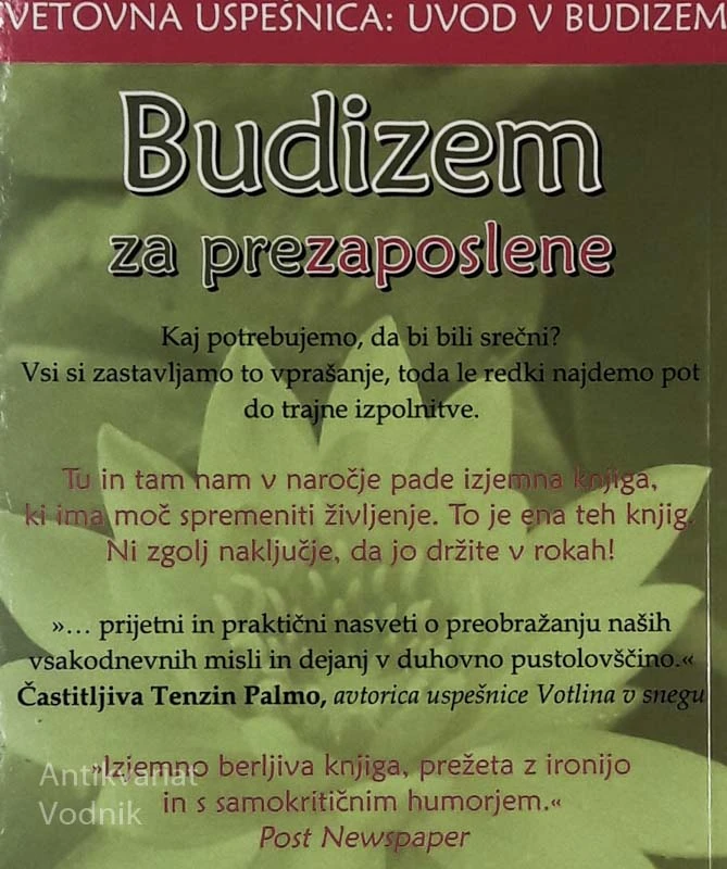 BUDIZEM ZA PREZAPOSLENE, Davi Michie
