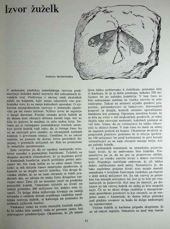 ŽUŽELKE, A. B. in E. B. Klots