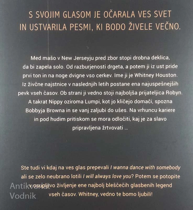 WHITNEY HOUSTON; PEVKA, KI JE Z GLASOM OČARALA SVET, Hannah Faber