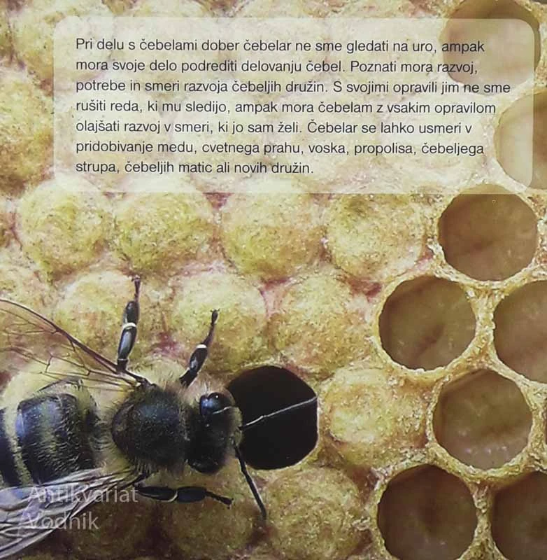 ČEBELARJENJE ZA VSAKOGAR, Peter Kozmus