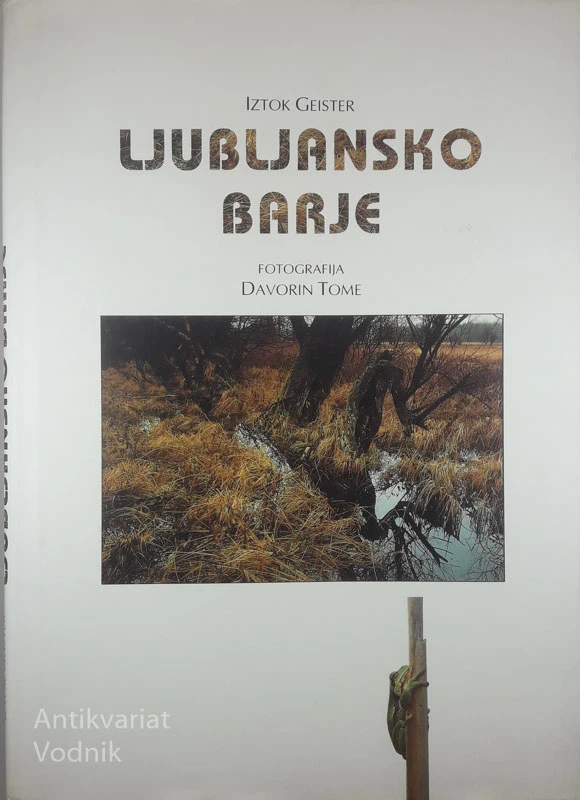 LJUBLJANSKO BARJE, Iztok Geister