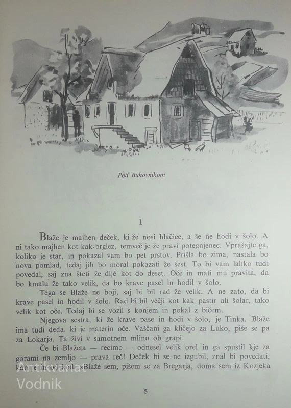 PISANI SVET, France Bevk