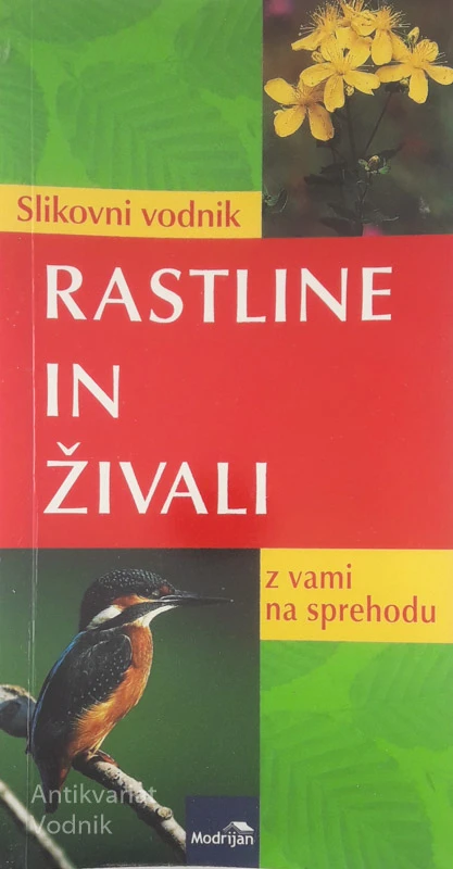 SLIKOVNI VODNIK: RASTLINE IN ŽIVALI Z VAMI NA SPREHODU