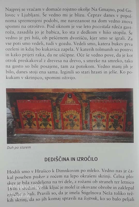 TAKO SO ŽIVELI IN KUHALI, Iva Šubelj Kramar