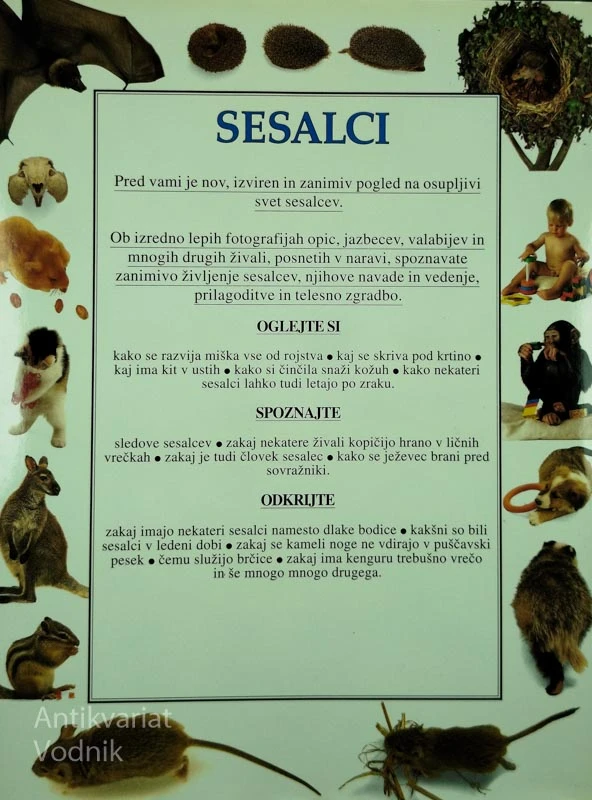 SESALCI