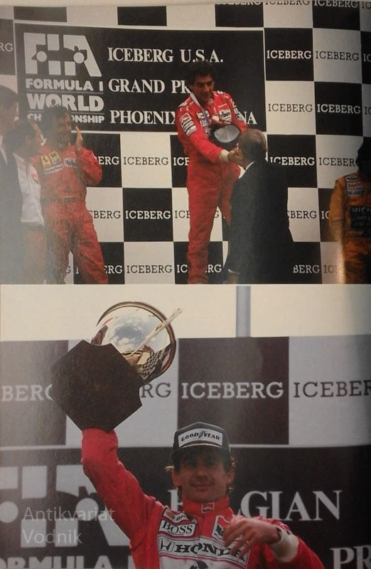 AYRTON SENNA Poet hitrosti, Miran Ališič