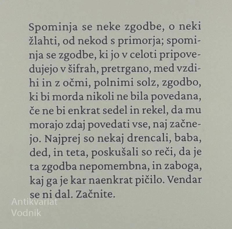 POT POD NOGE, Bojan Krivokapić