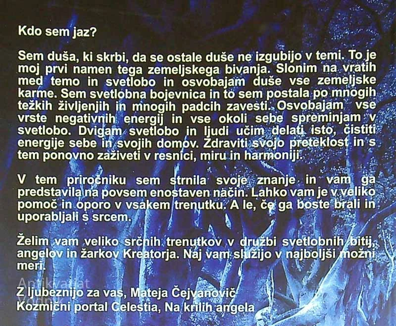 KAKO SEM POSTALA BOJEVNICA LUČI, Mateja Čejvanovič
