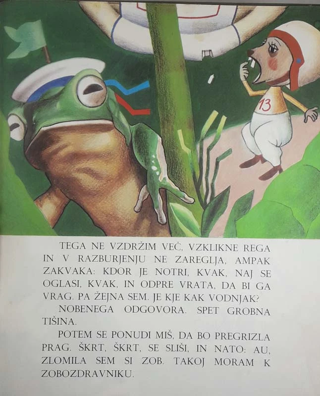 HIŠICA BREZ NAPISA, Jože Snoj