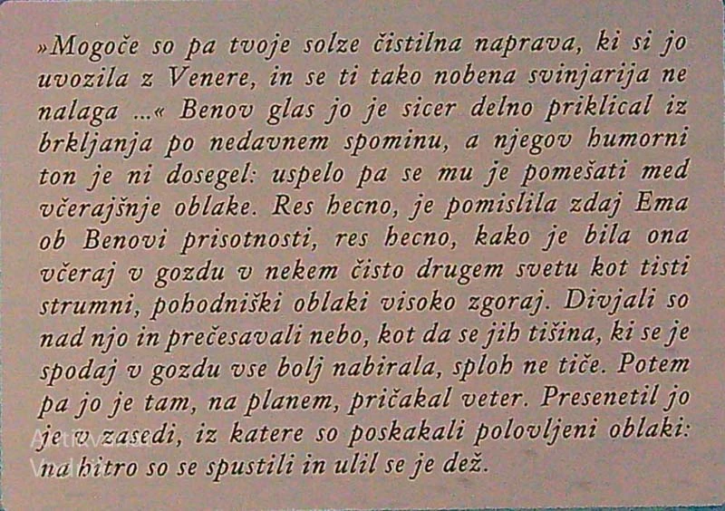 TAKO KOT DELFINI, Tanja Dimitrievska