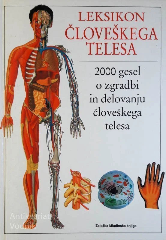 LEKSIKON ČLOVEŠKEGA TELESA, David Burnie