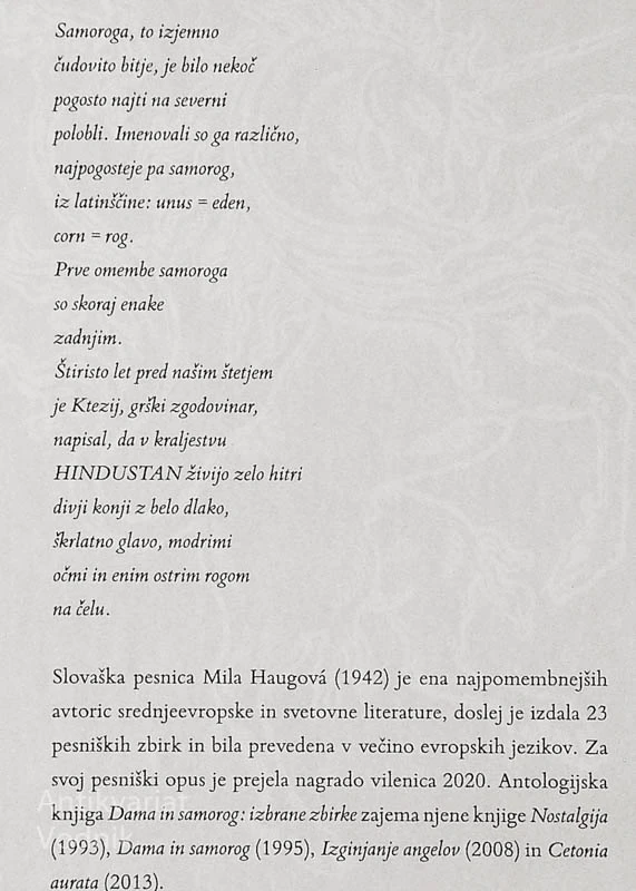 DAMA IN SAMOROG, Mila Haugová