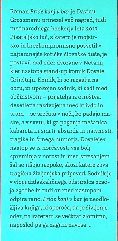 PRIDE KONJ V BAR, David Grossman