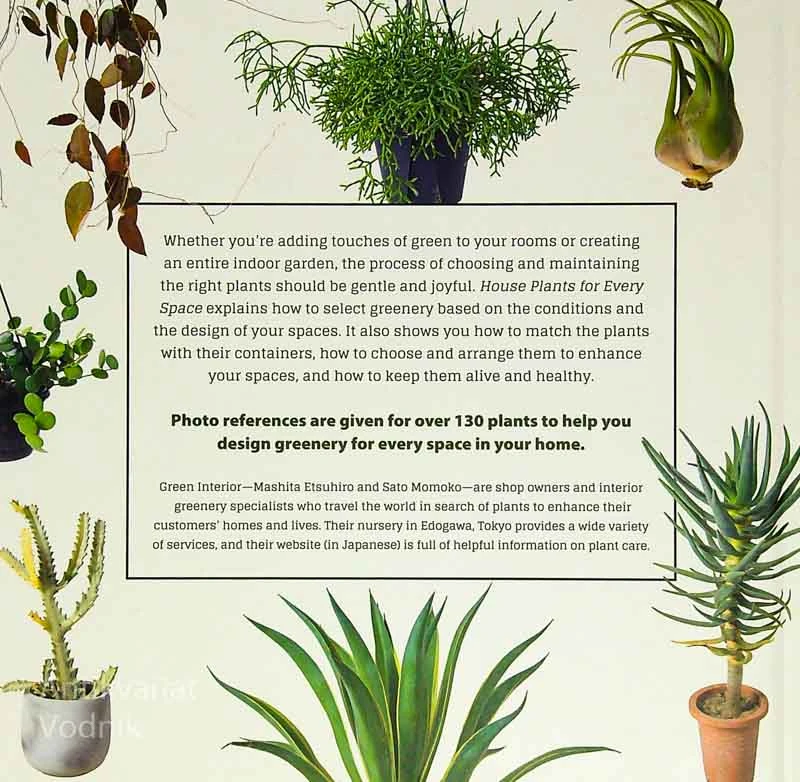 HOUSE PLANTS FOR EVERY SPACE, Mashita Etsuhiro in Sato Momoko