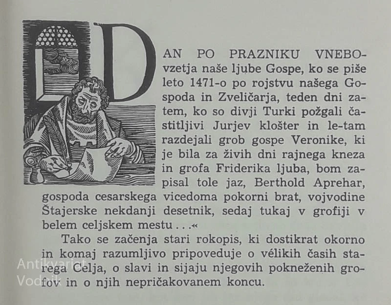 DANES GROFJE CELJSKI IN NIKDAR VEČ, Anna Wambrechtsamer