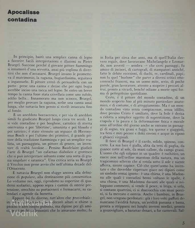 BRUGEL, Giovanni Arpino
