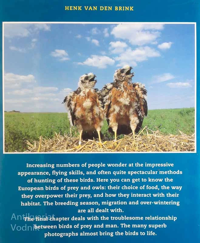 BIRDS OF PREY AND OWLS IN EUROPE, Henk Van den Brink