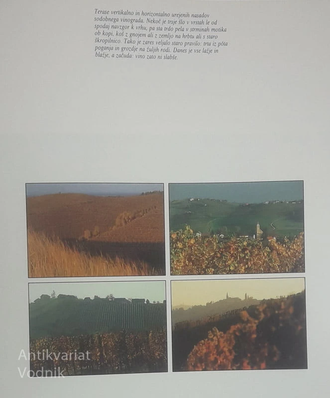 SLOVENSKI VINOGRADI, Joco Žnidaršič