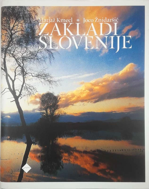 ZAKLADI SLOVENIJE, Matjaž Kmecl in Joco Žnidaršič