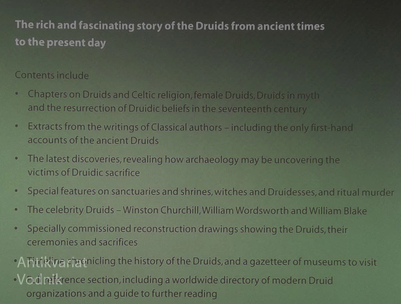 EXPLORING THE WORLD OF THE DRUIDS, Miranda J. Green