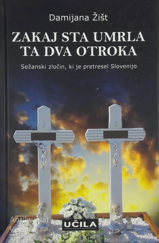ZAKAJ STA UMRLA TA DVA OTROKA, Damijana Žišt
