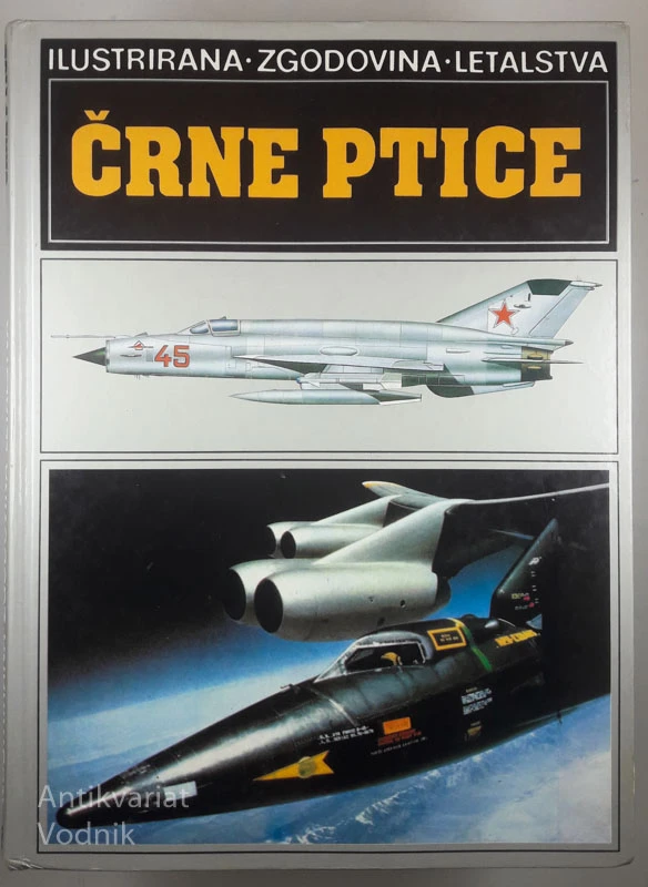 ČRNE PTICE
