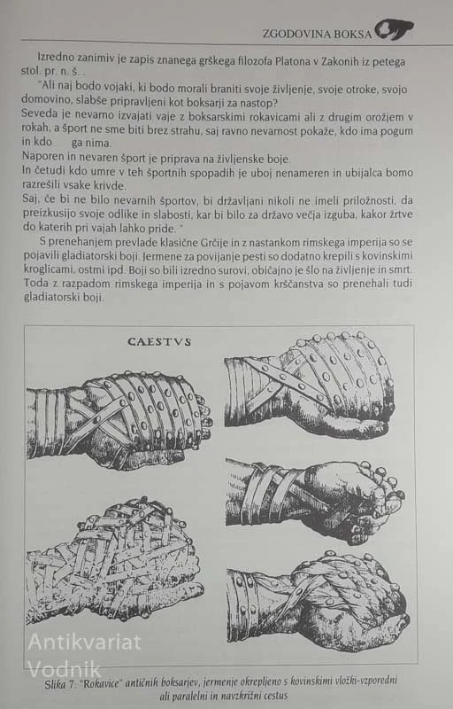 BOKS; SKRIVNOSTI PLEMENITE UMETNOSTI, Janez Gale