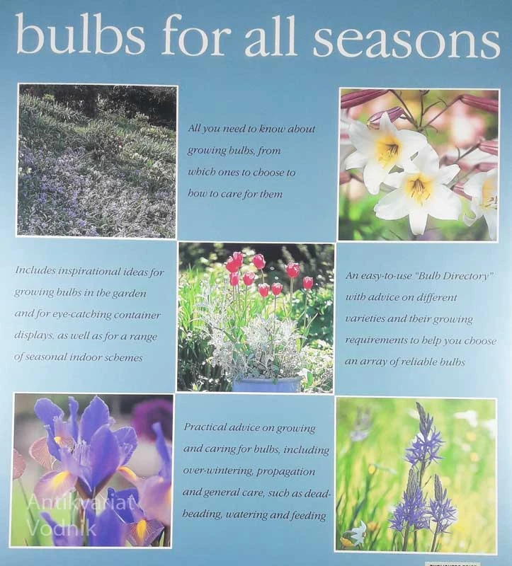 BULBS FOR ALL SEASONS, Kathy Brown