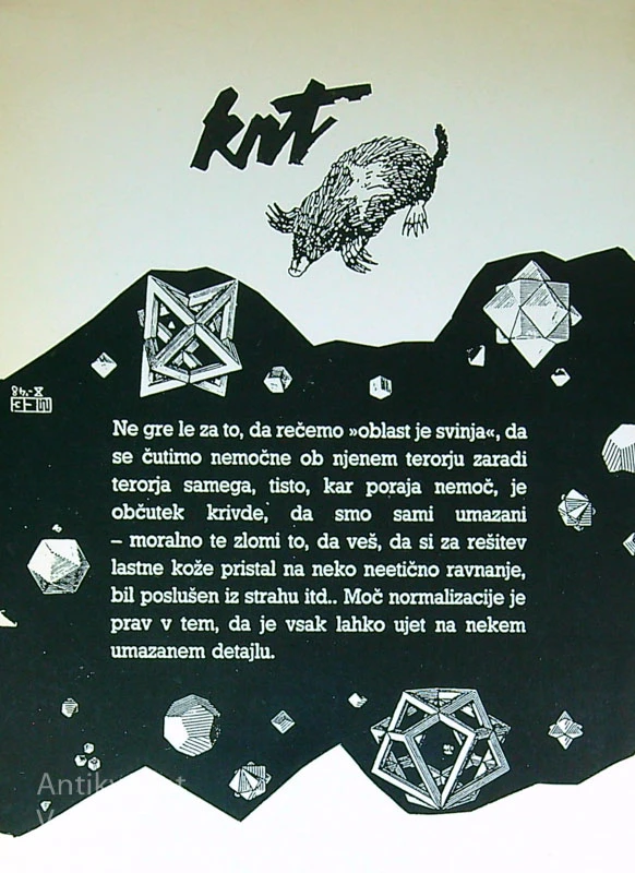 DISCIPLINA KOT POGOJ SVETLOBE, Renata Salecl