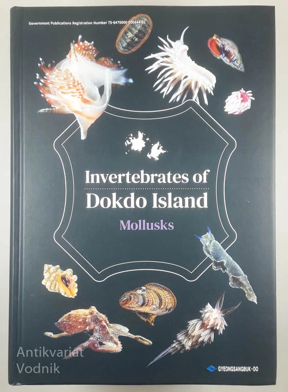 INVERTEBRATES; Dokdo Island, Mollusks