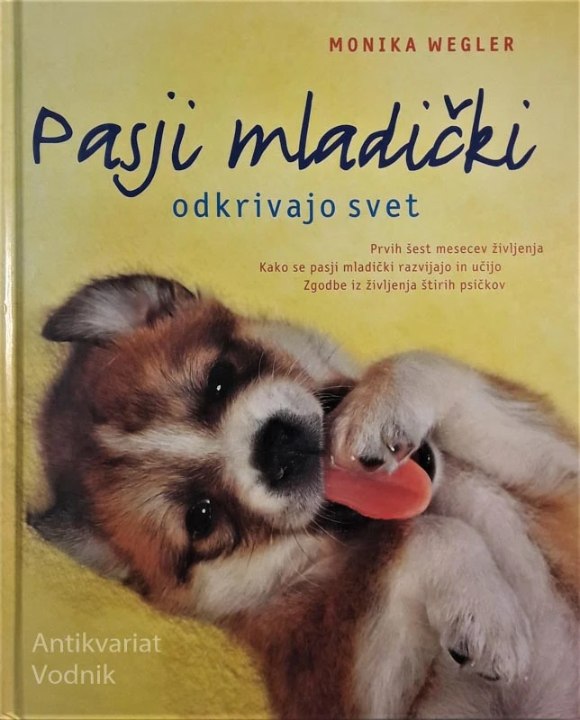 PASJI MLADIČKI, Monika Wegler