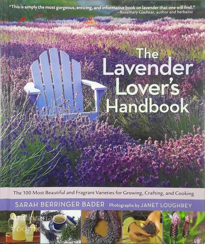 THE LAVENDER LOVER’S HANDBOOK, Sarah Berringer Bader