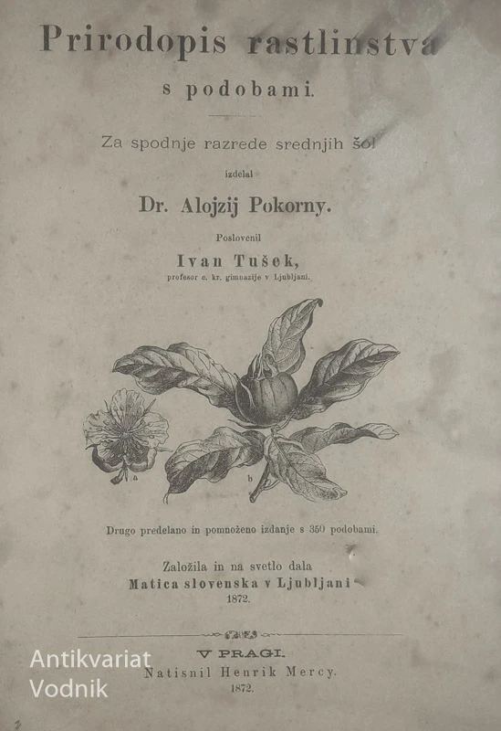 PRIRODOPIS RASTLINSTVA S PODOBAMI, dr. Alojzij Pokorny