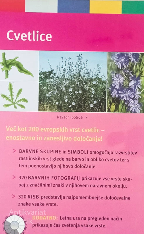 CVETLICE; ENOSTAVNO IN ZANESLJIVO DOLOČANJE