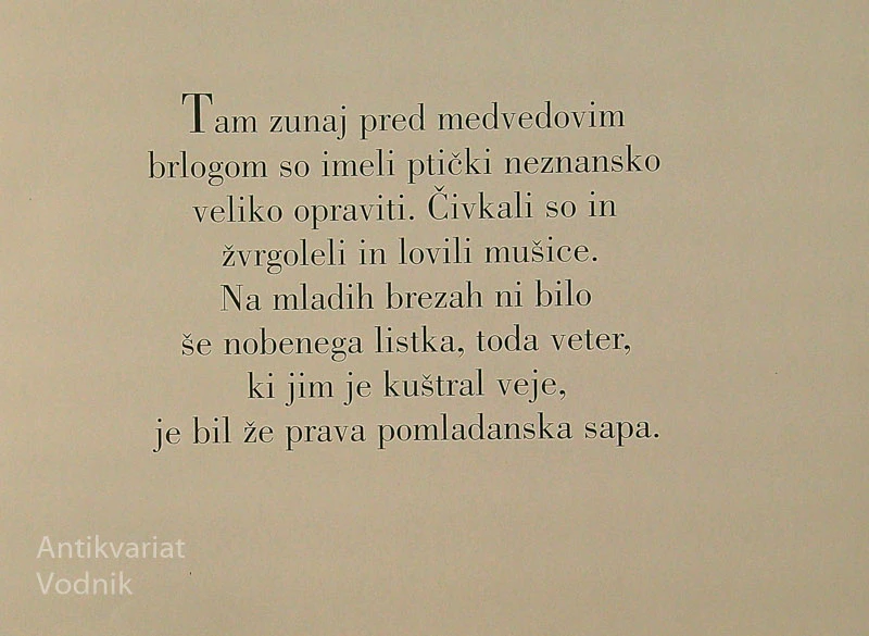 MEDVEDJI ČUDEŽ, Wolf Erlbruch