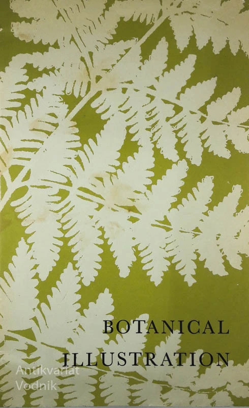 BOTANICAL ILLUSTRATION
