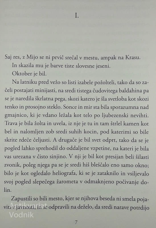 ZATEMNITEV, Boris Pahor