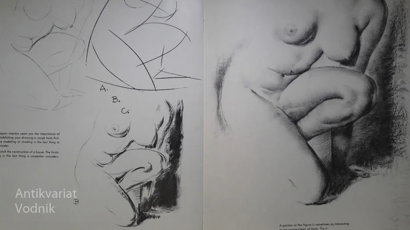DRAWING IN CHARCOAL with Charles la Salle – naučimo se risarskih veščin