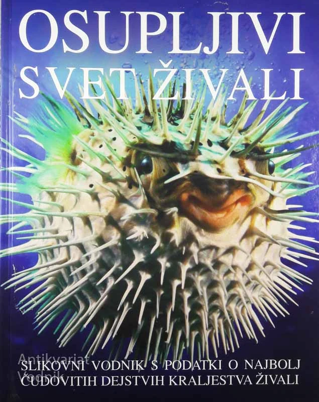 OSUPLJIVI SVET ŽIVALI, Jacqui Bailey