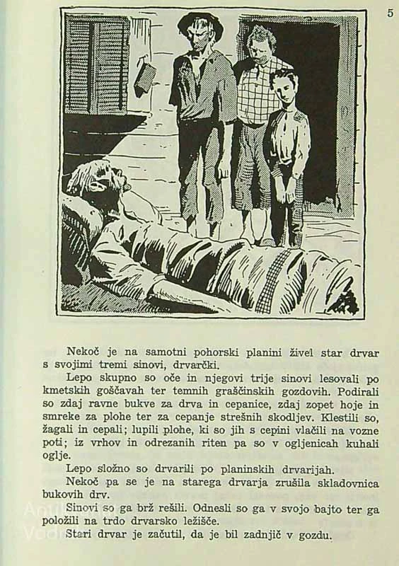 DRAVSKA ROŽA, Jože Tomažič