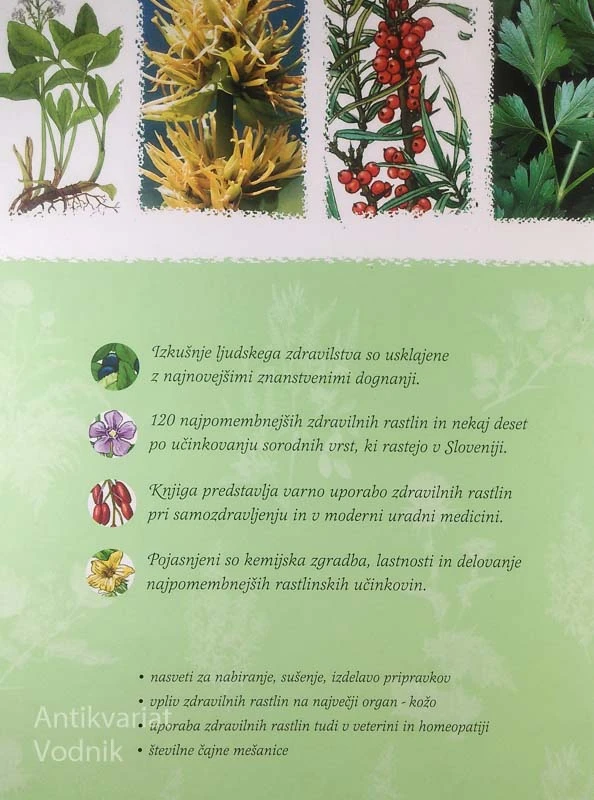 ZDRAVILNE RASTLINE NA SLOVENSKEM, Katja Galle-Toplak