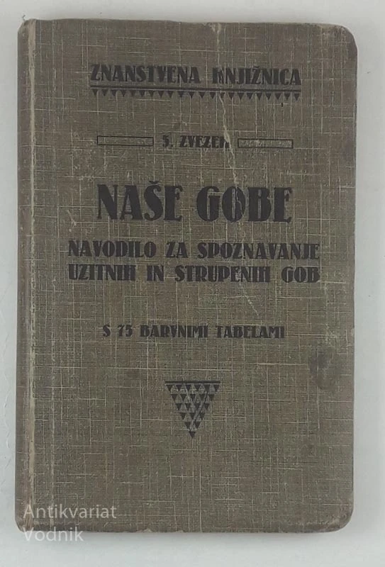 NAŠE GOBE, Ante Beg