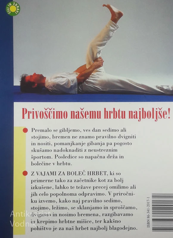 VAJE ZA BOLEČ HRBET, več avtorjev