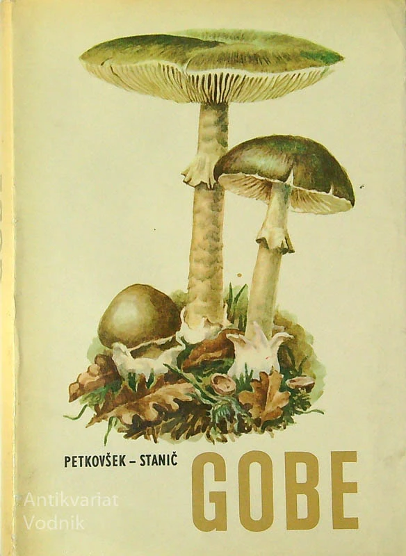 GOBE, Viktor Petkovšek in Ivan Stanič