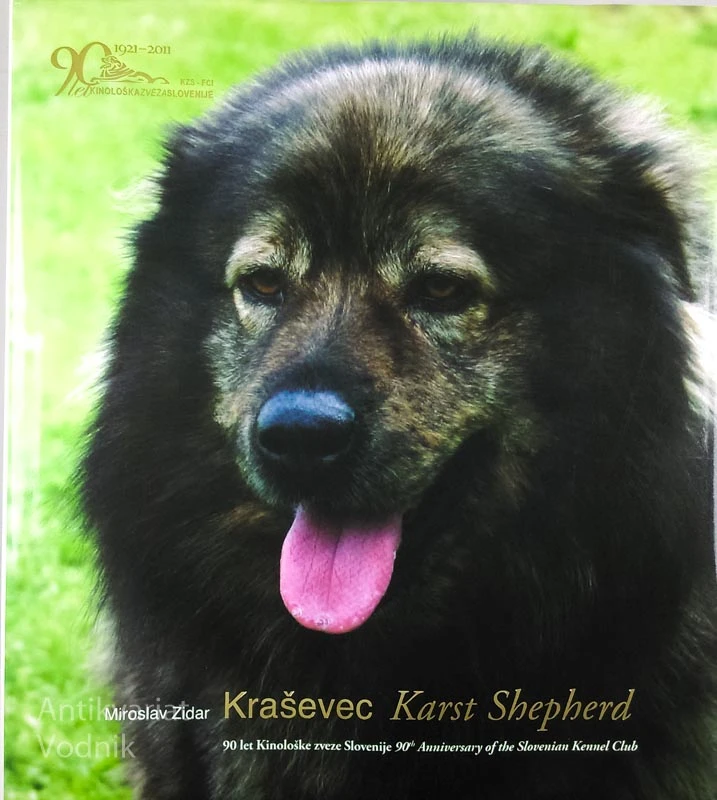 KRAŠEVEC, Miroslav Zidar