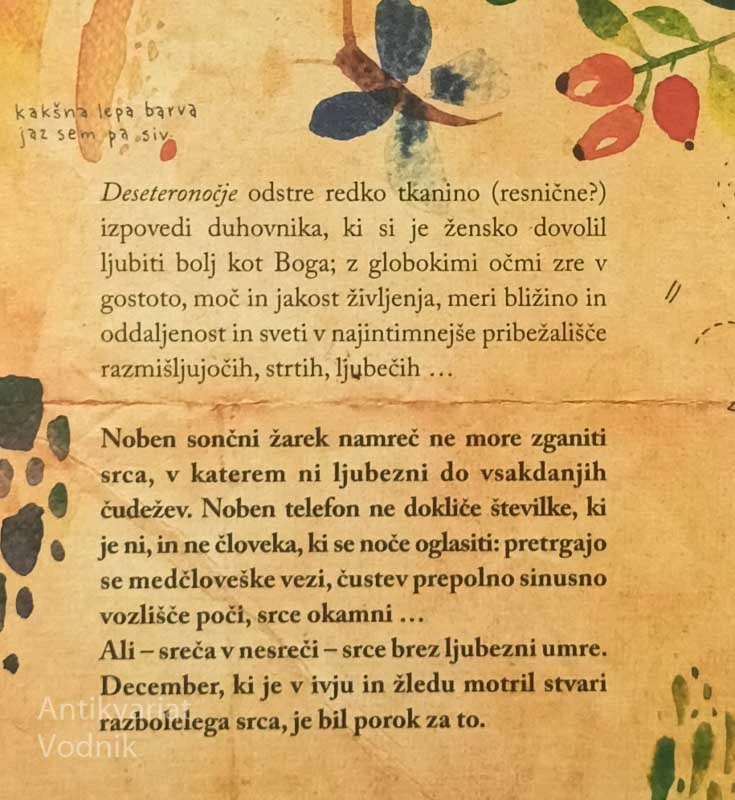 DESETERONOČJE, Helena Cestnik