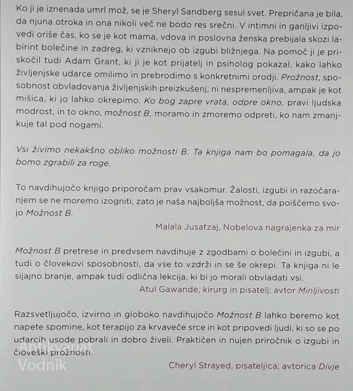 MOŽNOST B, Sheryl Sandberg