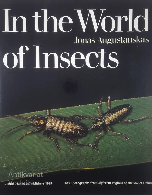 IN THE WORLD OF INSECTS, John Augustausksas