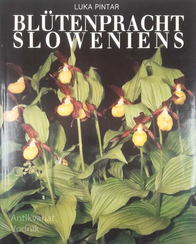 BLÜTENPRACHT SLOWENIENS, Luka Pintar