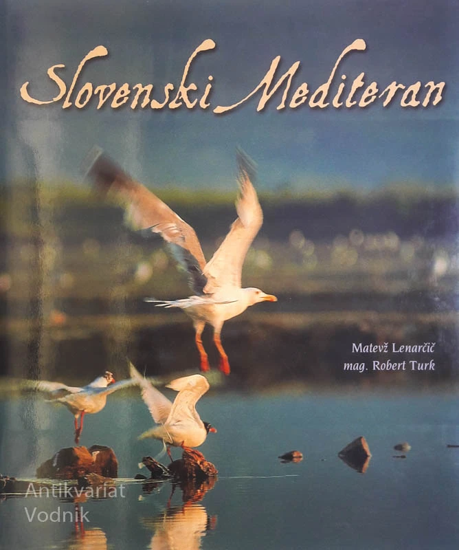 SLOVENSKI MEDITERAN, Matevž Lenarčič